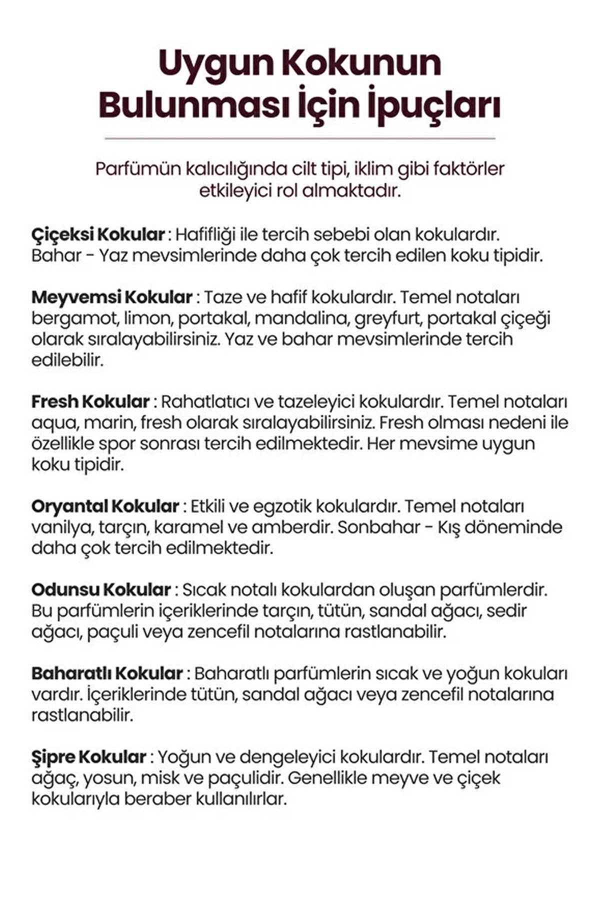 Niche Serisi Imperium Erkek Parfümü 100ml | Sportif, Fresh, Çekici | EDP For Men 100ml