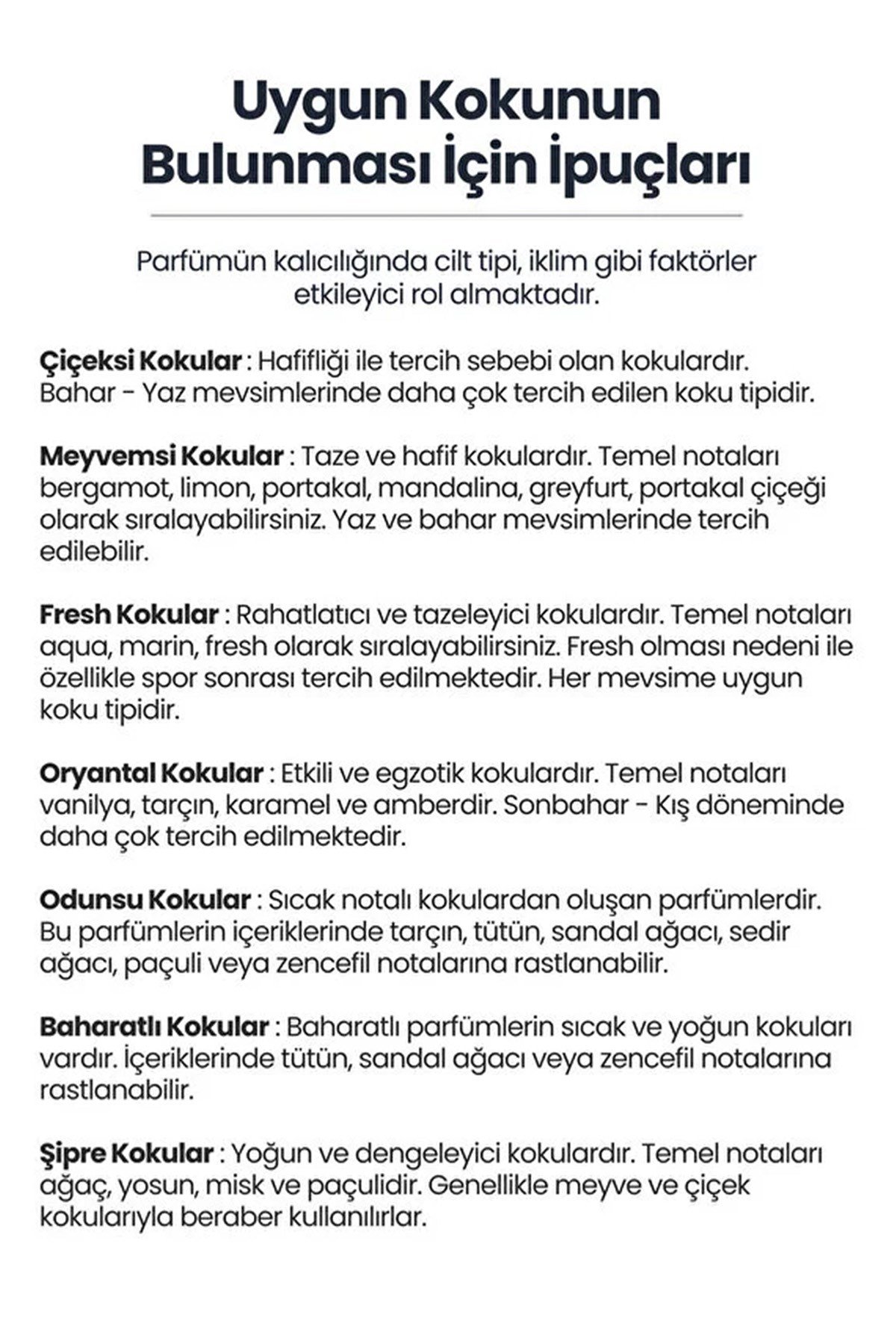 Niche Serisi Legacies Erkek Parfümü 100ml | Odunsu, Aromatik, Etkileyici | EDP For Men 100ml