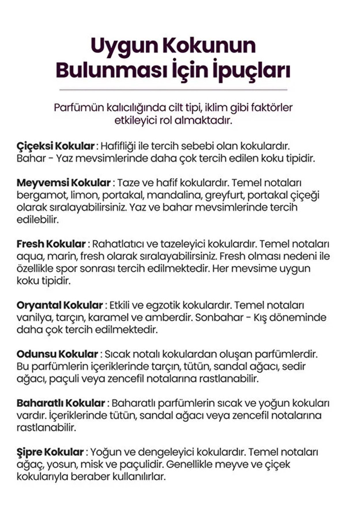 Niche Serisi Maison Vela Kadın Parfümü 100ml | Tatlı, Baştan Çıkarıcı, Gurme | EDP For Women 100ml