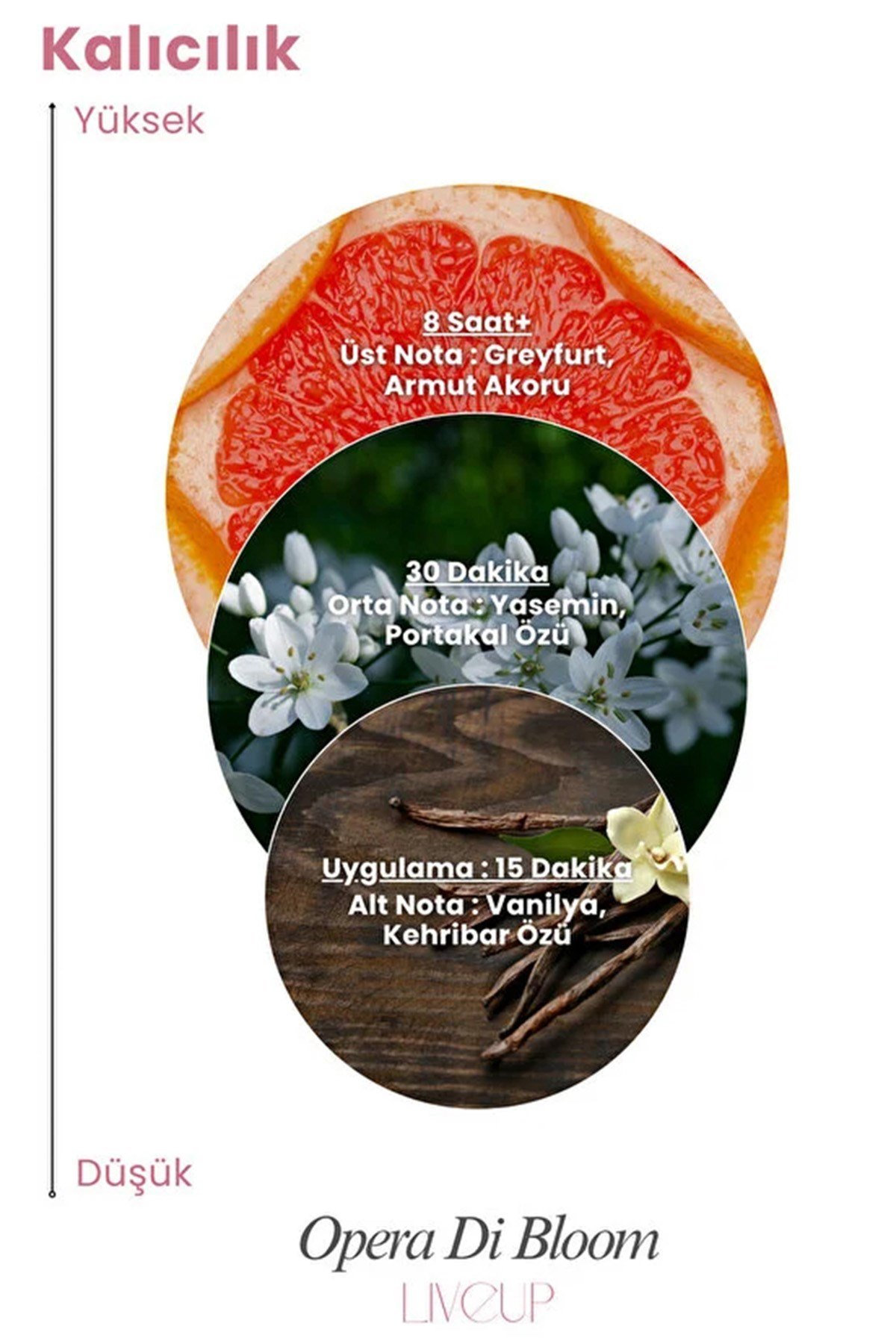 Niche Serisi Opera Di Bloom Kadın Parfümü 100ml | Taze, Romantik, Çekici | EDP For Women 100ml