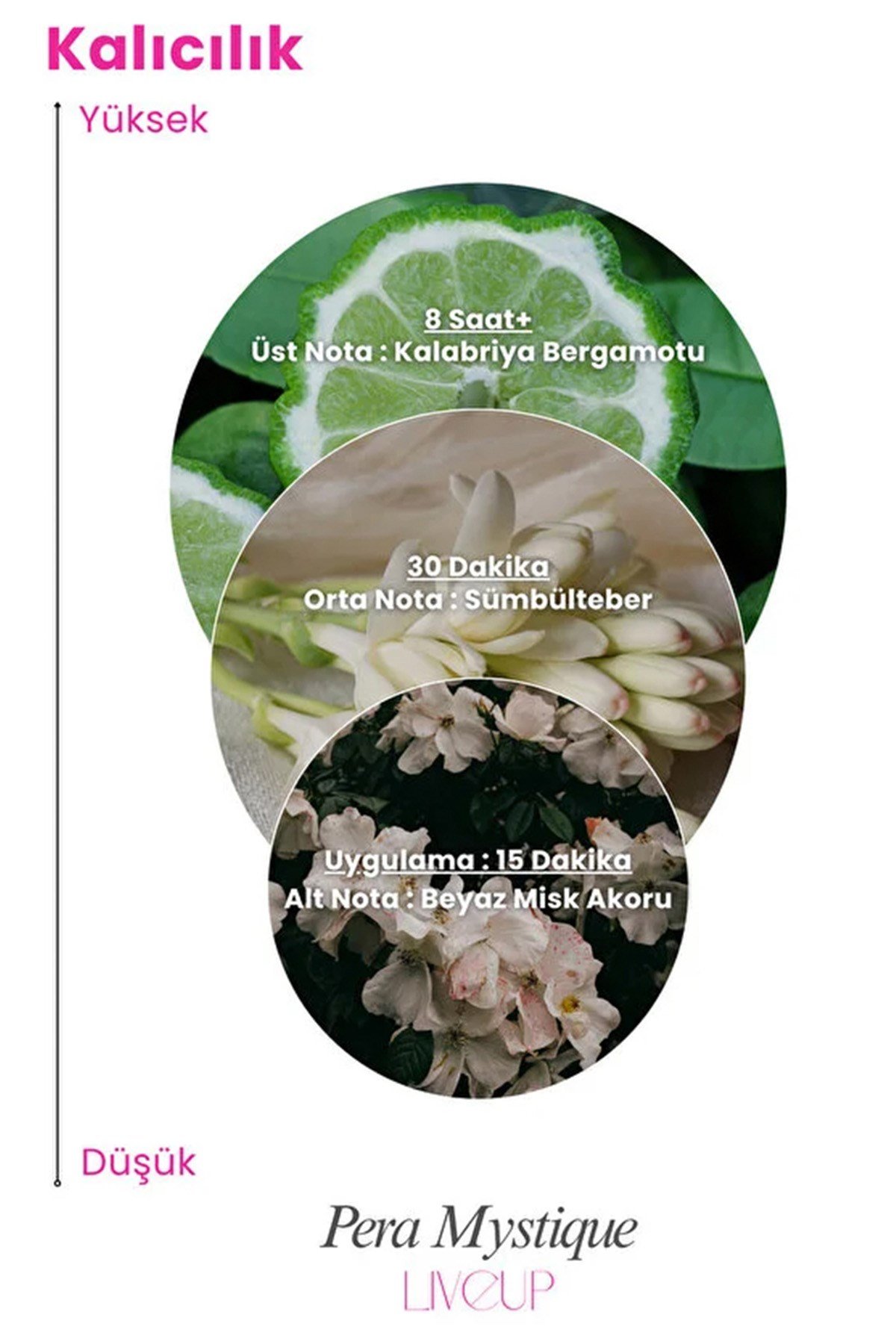Niche Serisi Pera Mystique Kadın Parfümü 100ml | Çiçeksi, Zarif, Işıltılı | EDP For Women 100ml