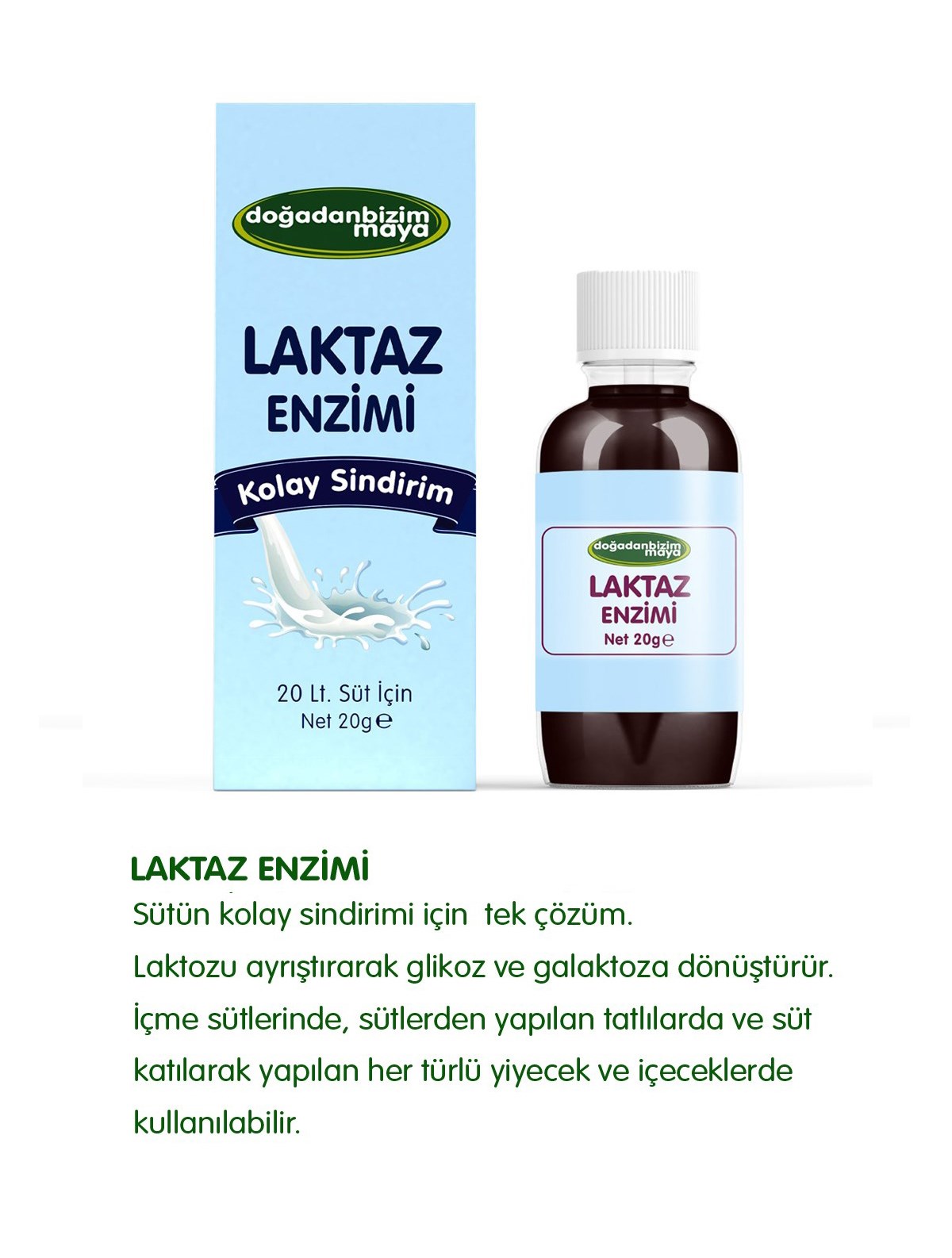 Laktaz Enzimi