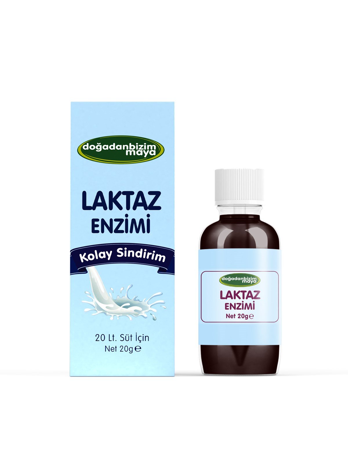Laktaz Enzimi