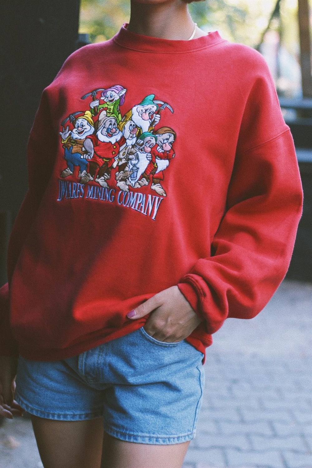 Orj. Disneyland Sweat
