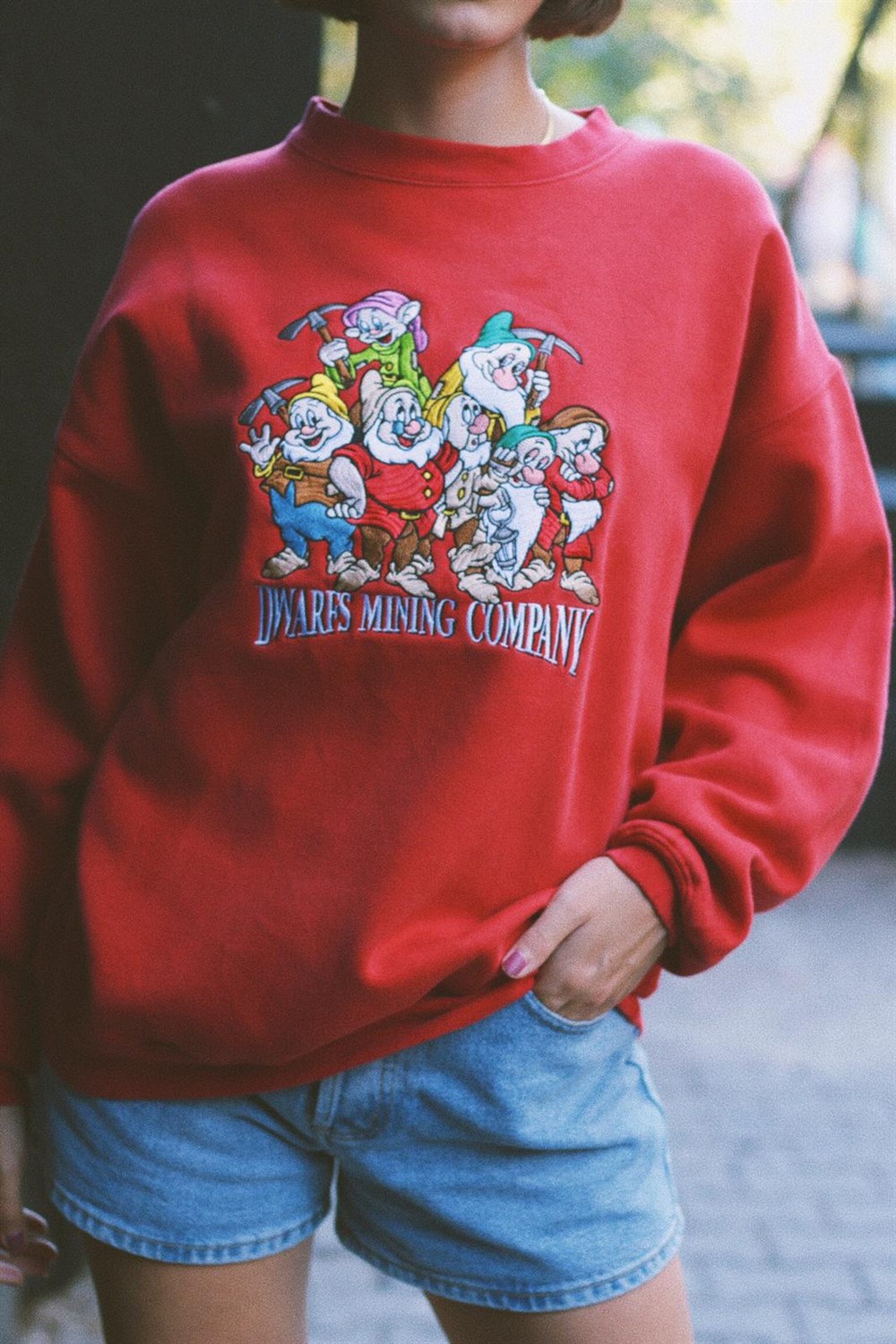 Orj. Disneyland Sweat