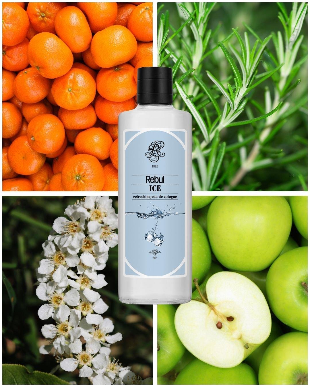 Rebul Ice EDC Kolonya 250 ml 2'li Set