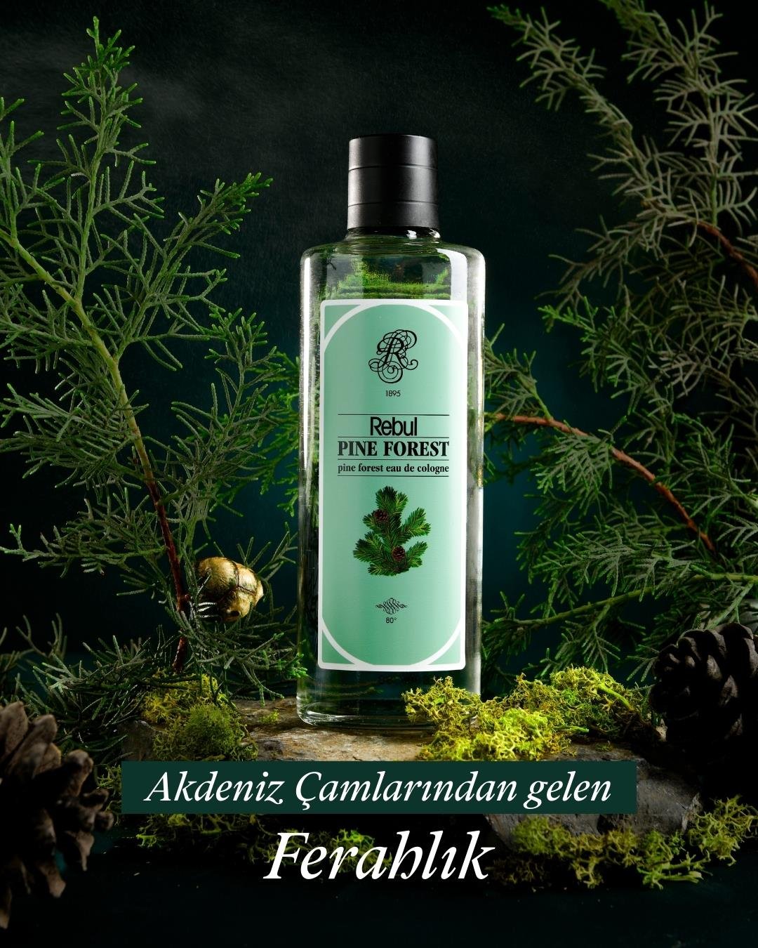 Rebul Pine Forest EDC Kolonya 250 ml 2'li Set