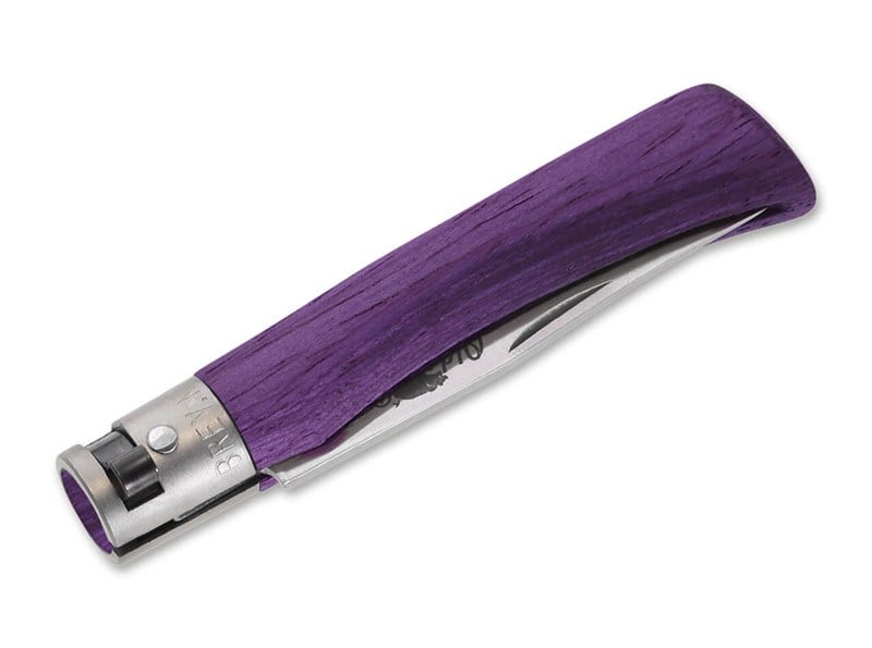 Antonini Old Bear Full Color S Purple