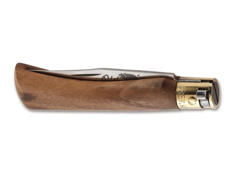 Antonini Old Bear M Ceviz Carbon