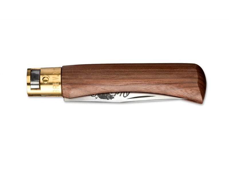 Antonini Old Bear XS Ceviz