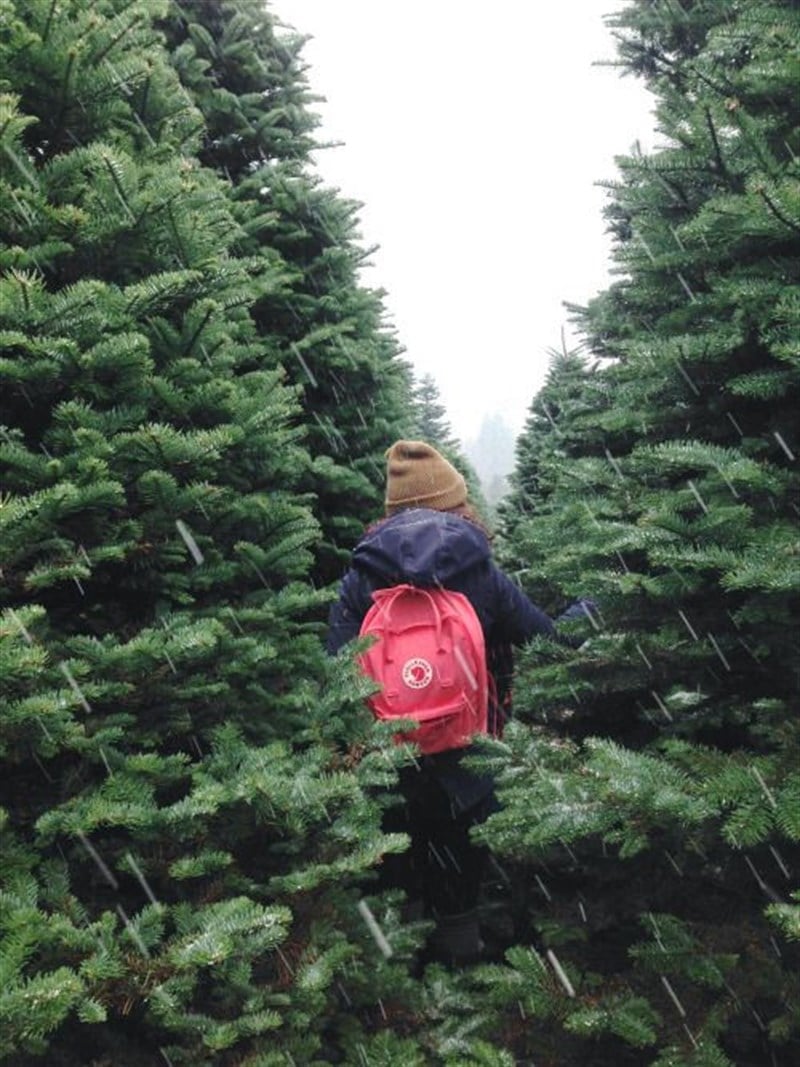 Fjallraven Kanken Classic Peach Pink