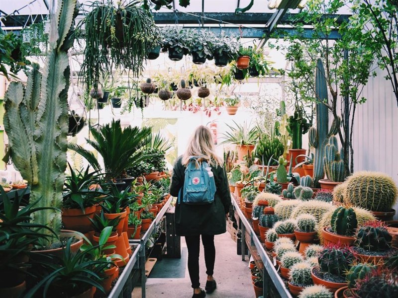 Fjallraven Kanken Classic Sky Blue