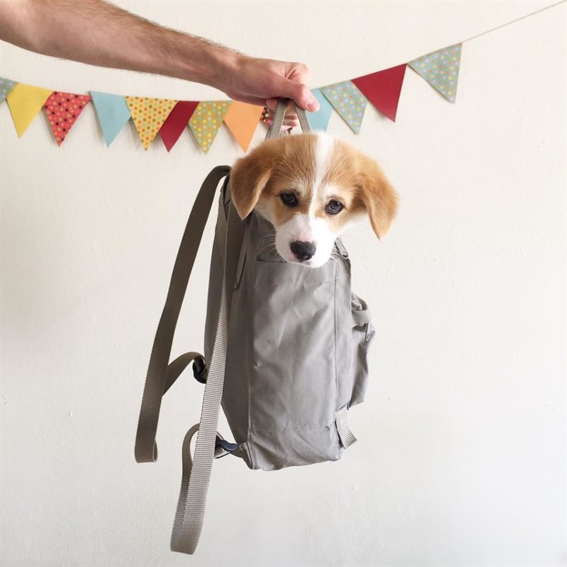 Fjallraven Kanken Mini Fog