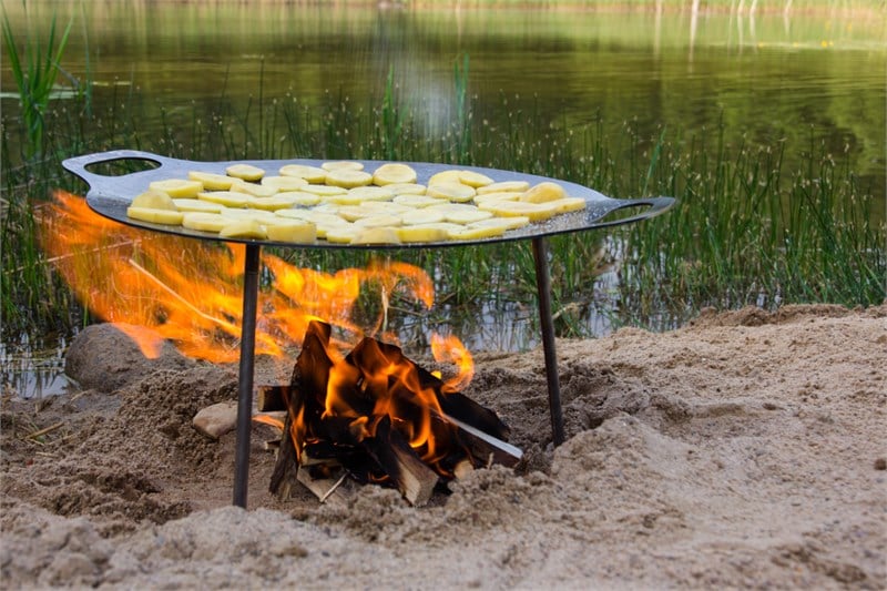 Griddle and Fire Bowl fs48