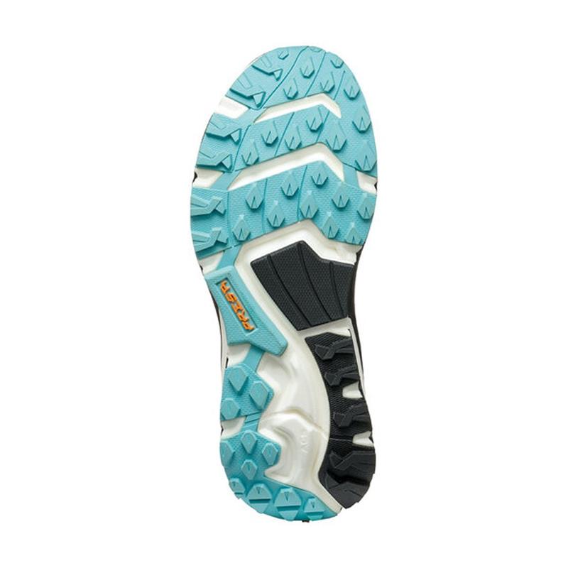 Scarpa GOLDEN GATE ATR GTX WMN Kadın Ayakkabı Black-Aruba Blue