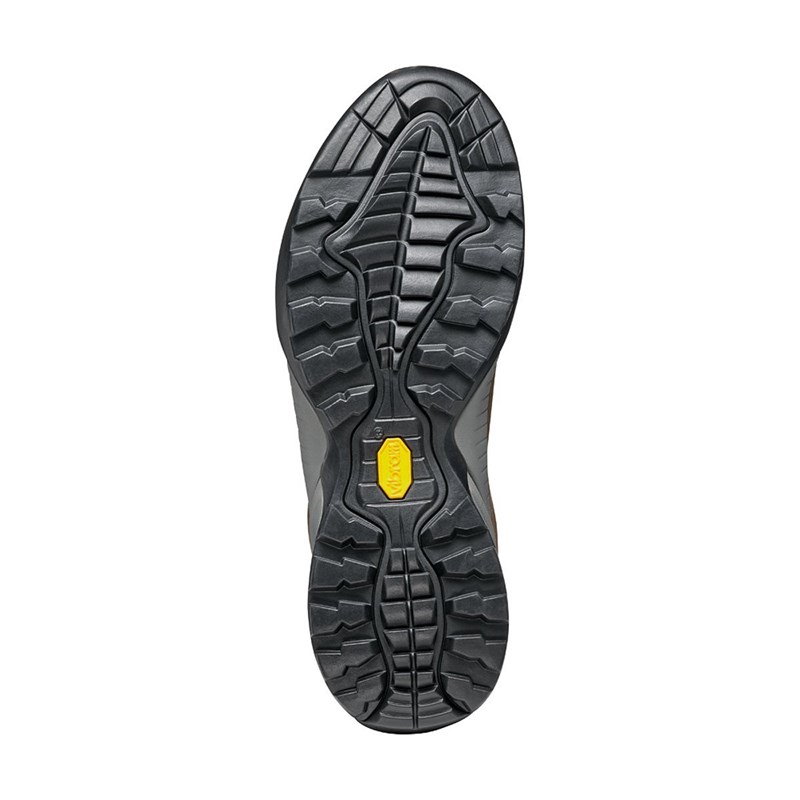 Scarpa MOJITO GTX Ayakkabı LAGOON