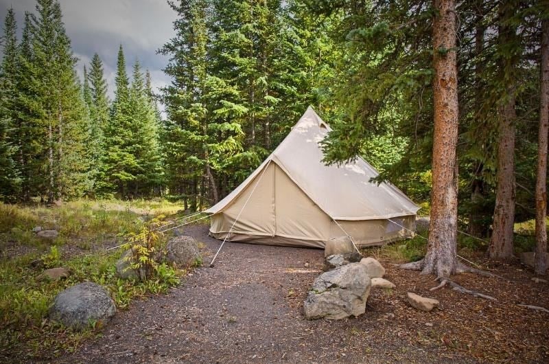 SIBLEY 400 ULTIMATE SE