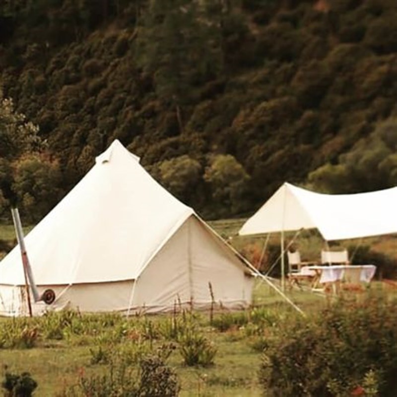 SIBLEY 500 ULTIMATE SE