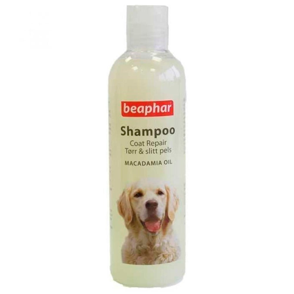 Beaphar Macadamia Yağlı Köpek Şampuanı 250 ml 8711231109036 Amazon Pet Center