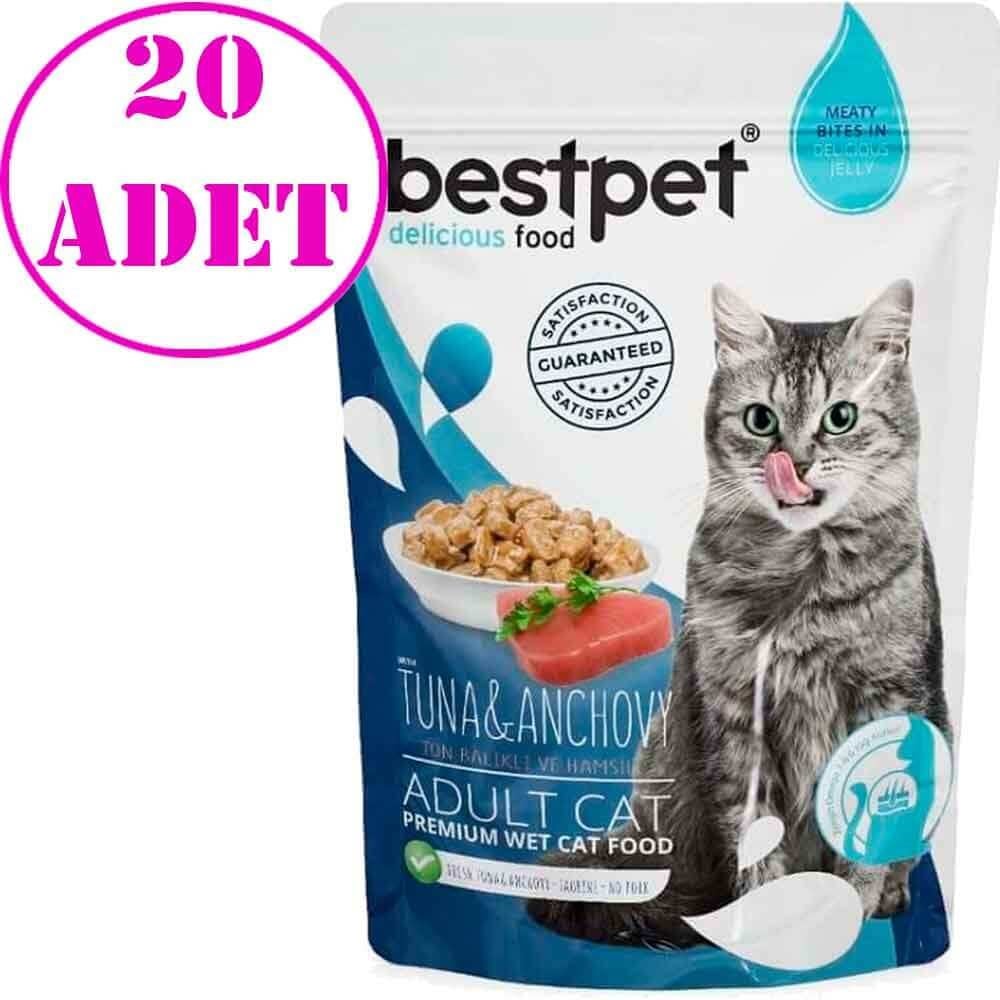 Best Pet Jelly Ton ve Hamsili Kedi Maması 85 Gr 20 AD 8681465602736 Best Pet Yetişkin Kedi Konserve Mamaları Amazon Pet Center