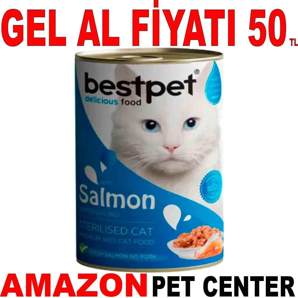 Best Pet Kısırlaştırılmış Somonlu Kedi Konservesi 400 Gr 21636004 Amazon Pet Center