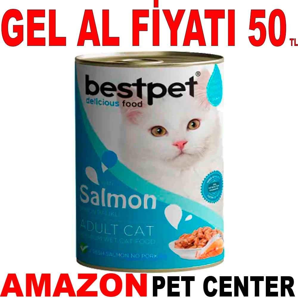 Best Pet Somonlu Kedi Konservesi 400 Gr 21635007 Amazon Pet Center