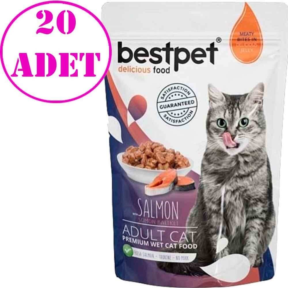 BestPet Adult Jelly Pouch Somonlu Kedi Maması 85 Gr 20 AD 32123364 Best Pet Yetişkin Kedi Konserve Mamaları Amazon Pet Center