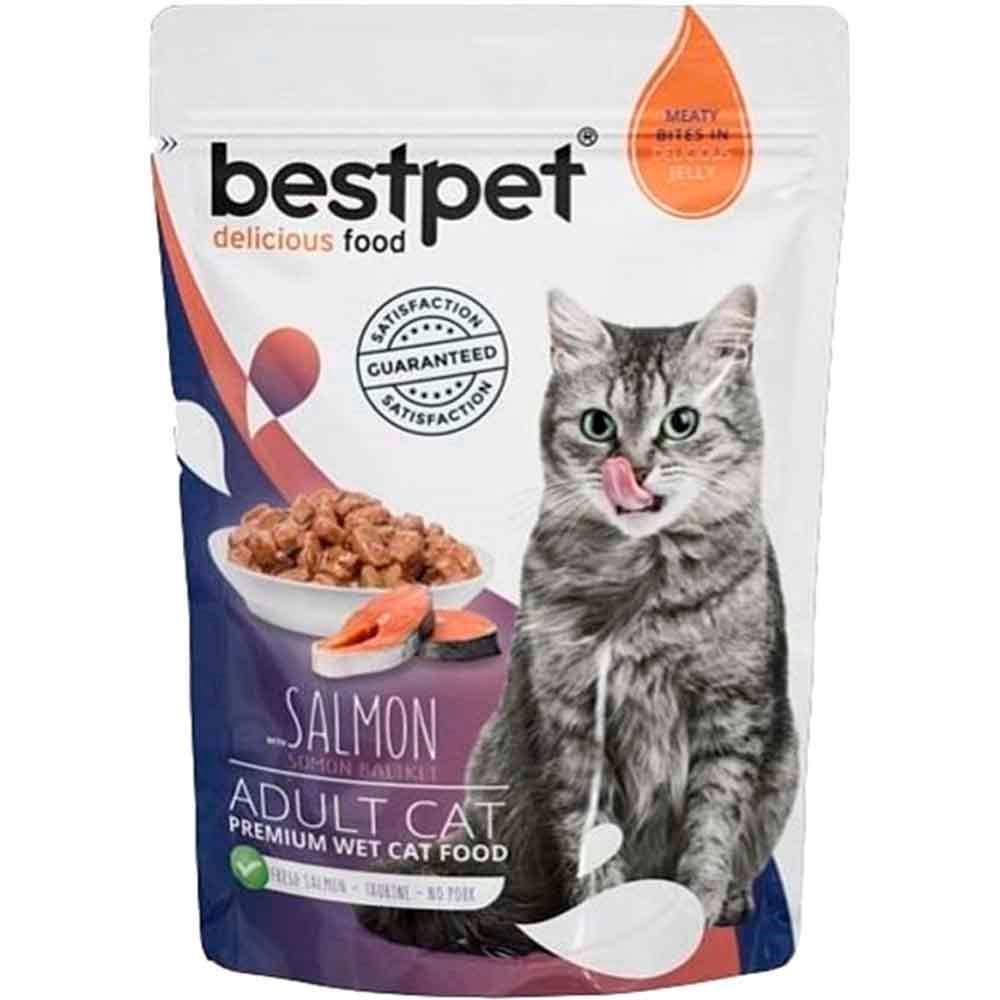 BestPet Adult Jelly Pouch Somonlu Kedi Maması 85 Gr 8681465602514 Best Pet Yetişkin Kedi Konserve Mamaları Amazon Pet Center