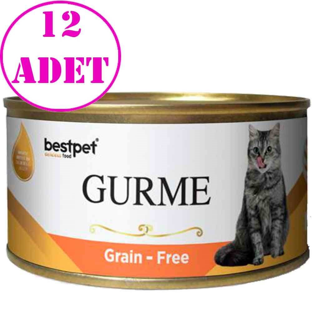 BestPet Gurme Kedi Konservesi Somonlu Parça Etli 100 Gr 12 AD 32128475 Best Pet Yetişkin Kedi Konserve Mamaları Amazon Pet Center