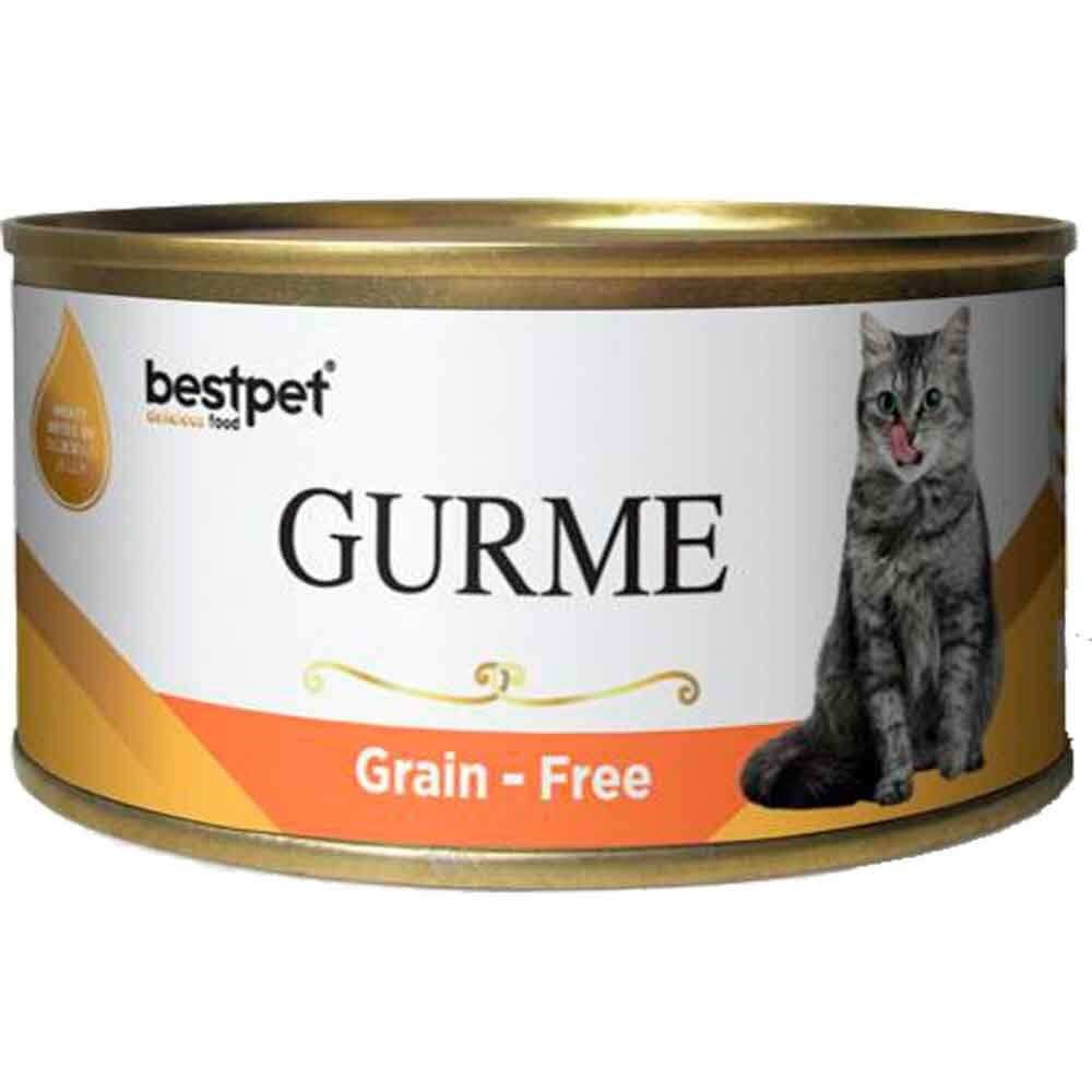 BestPet Gurme Kedi Konservesi Somonlu Parça Etli 100 Gr 8681465603528 Best Pet Yetişkin Kedi Konserve Mamaları Amazon Pet Center