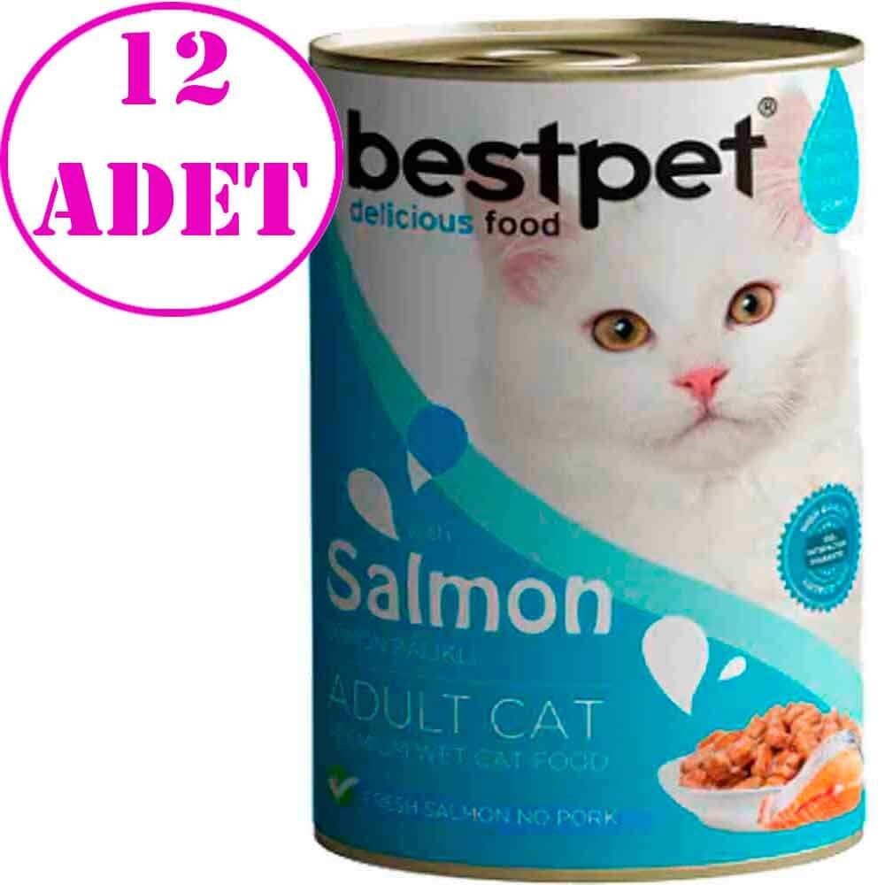 BestPet Kedi Konservesi Somonlu 400gr 12 AD 32124781 Best Pet Yetişkin Kedi Konserve Mamaları Amazon Pet Center