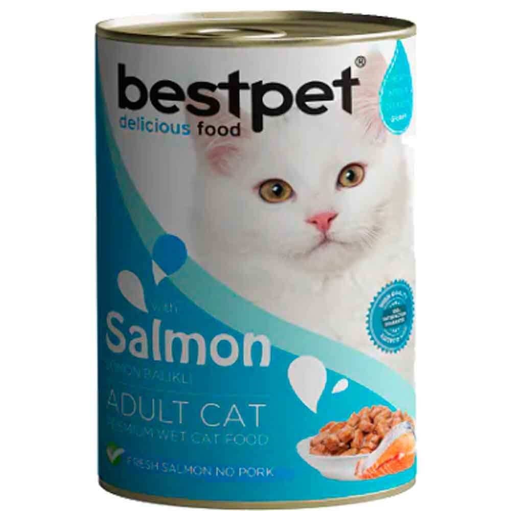 BestPet Kedi Konservesi Somonlu 400gr 8681465601166 Best Pet Yetişkin Kedi Konserve Mamaları Amazon Pet Center