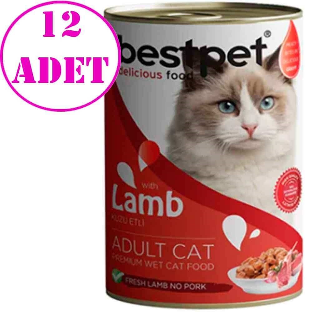 BestPet Kuzu Etli Kedi Konservesi 400gr 12 AD 32125948 Best Pet Yetişkin Kedi Konserve Mamaları Amazon Pet Center