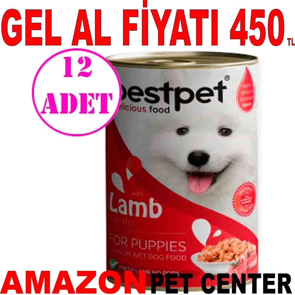 BestPet Kuzu Etli Yavru Köpek Konservesi 400gr 12 AD 18089004 Amazon Pet Center