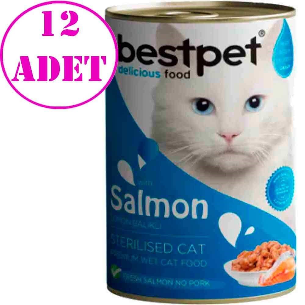 BestPet Somonlu Kısırlaştırılmış Kedi Konservesi 400gr 12 AD 32124774 Best Pet Yetişkin Kedi Konserve Mamaları Amazon Pet Center