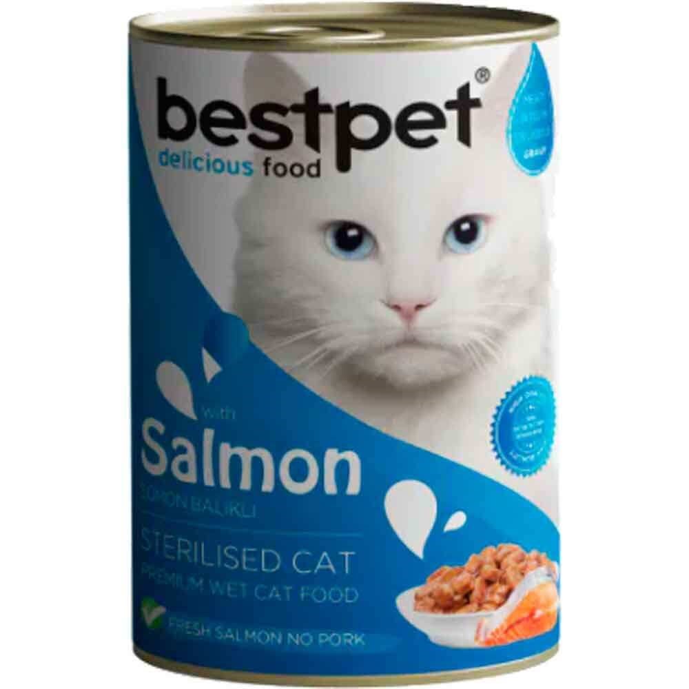 BestPet Somonlu Kısırlaştırılmış Kedi Konservesi 400gr 8681465603146 Best Pet Yetişkin Kedi Konserve Mamaları Amazon Pet Center