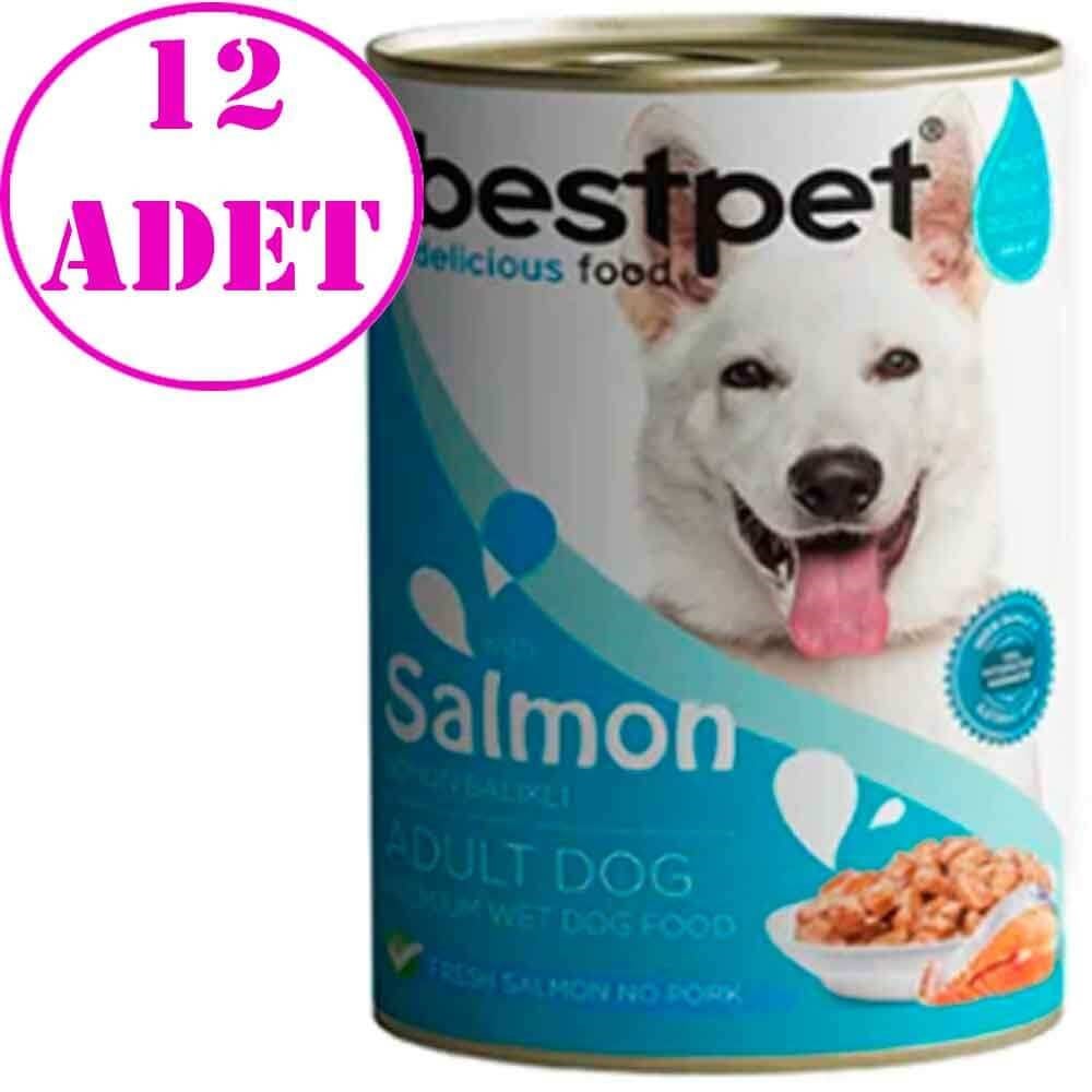 BestPet Somonlu Soslu Yetişkin Köpek Konservesi 400gr 12 AD 32125986 Best Pet Yetişkin Köpek Konserveleri Amazon Pet Center