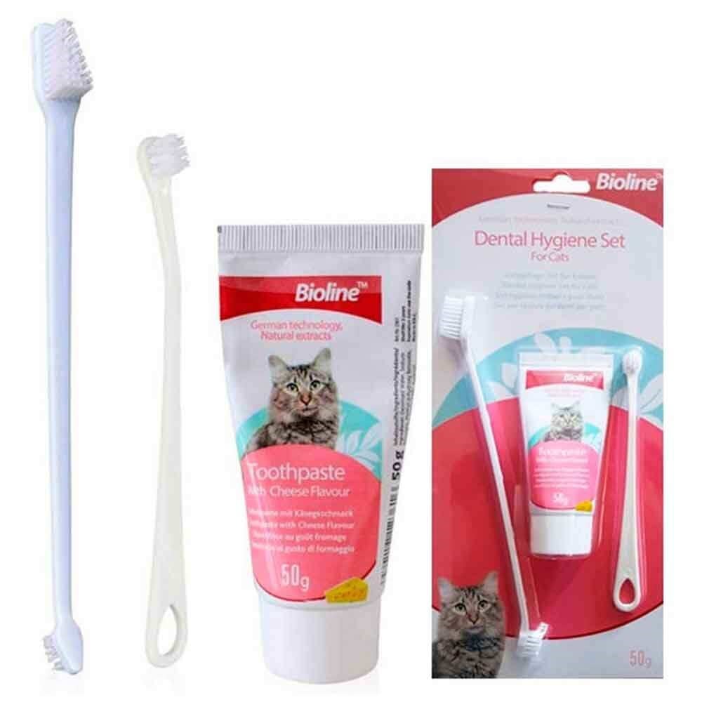 Bioline Kedi Ağız Bakım Seti 6970117123623 Bioline Kedi Ağız Ve Diş Sağlığı Amazon Pet Center