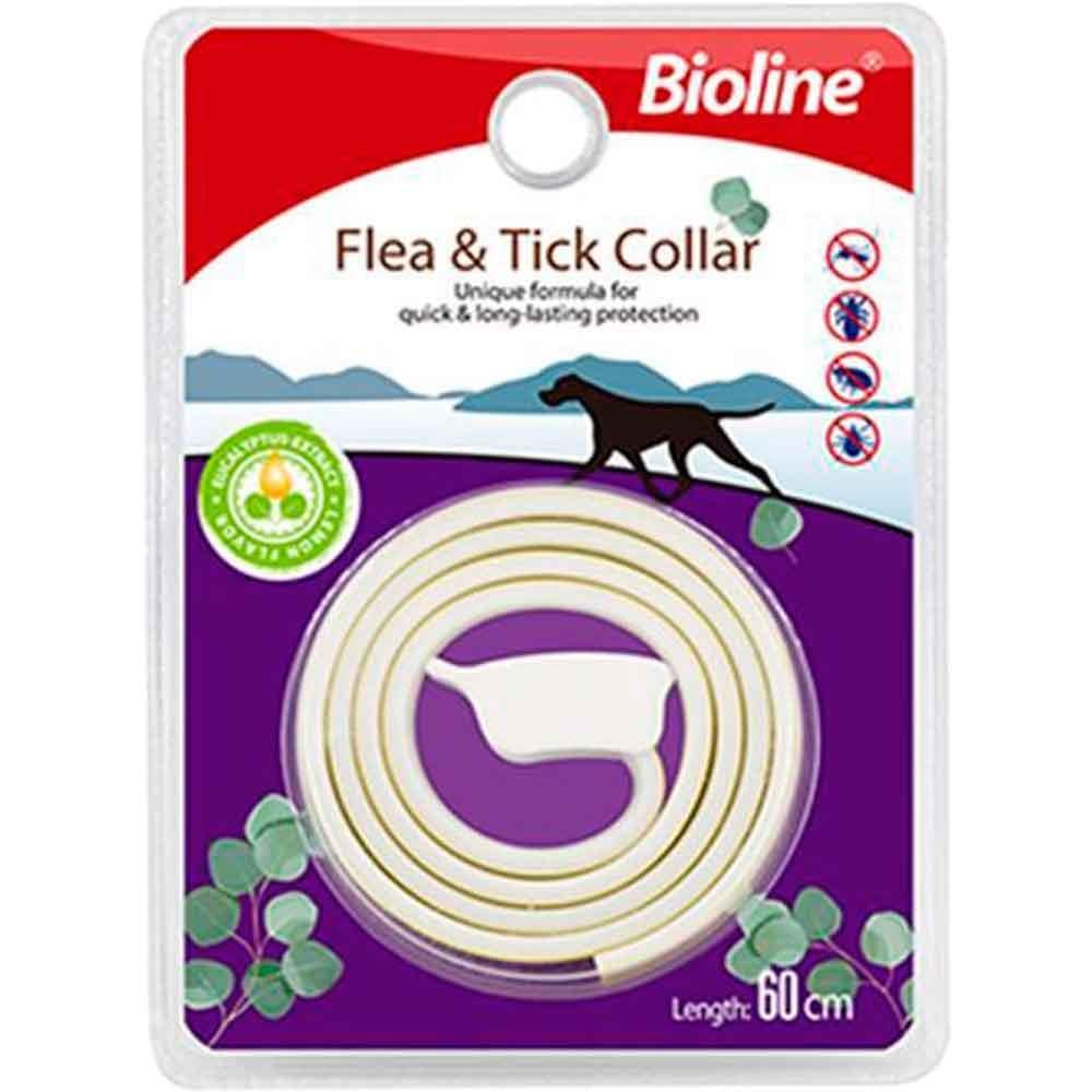 Bioline Köpek Pire Tasması Okaliptus ve Limon Kokulu 60cm 6970117124484 Amazon Pet Center