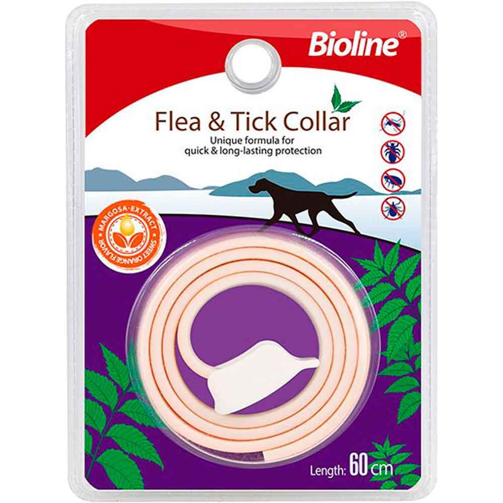 Bioline Köpek Pire Tasması Okaliptus ve Portakal Kokulu 60cm 6970117124477 Amazon Pet Center