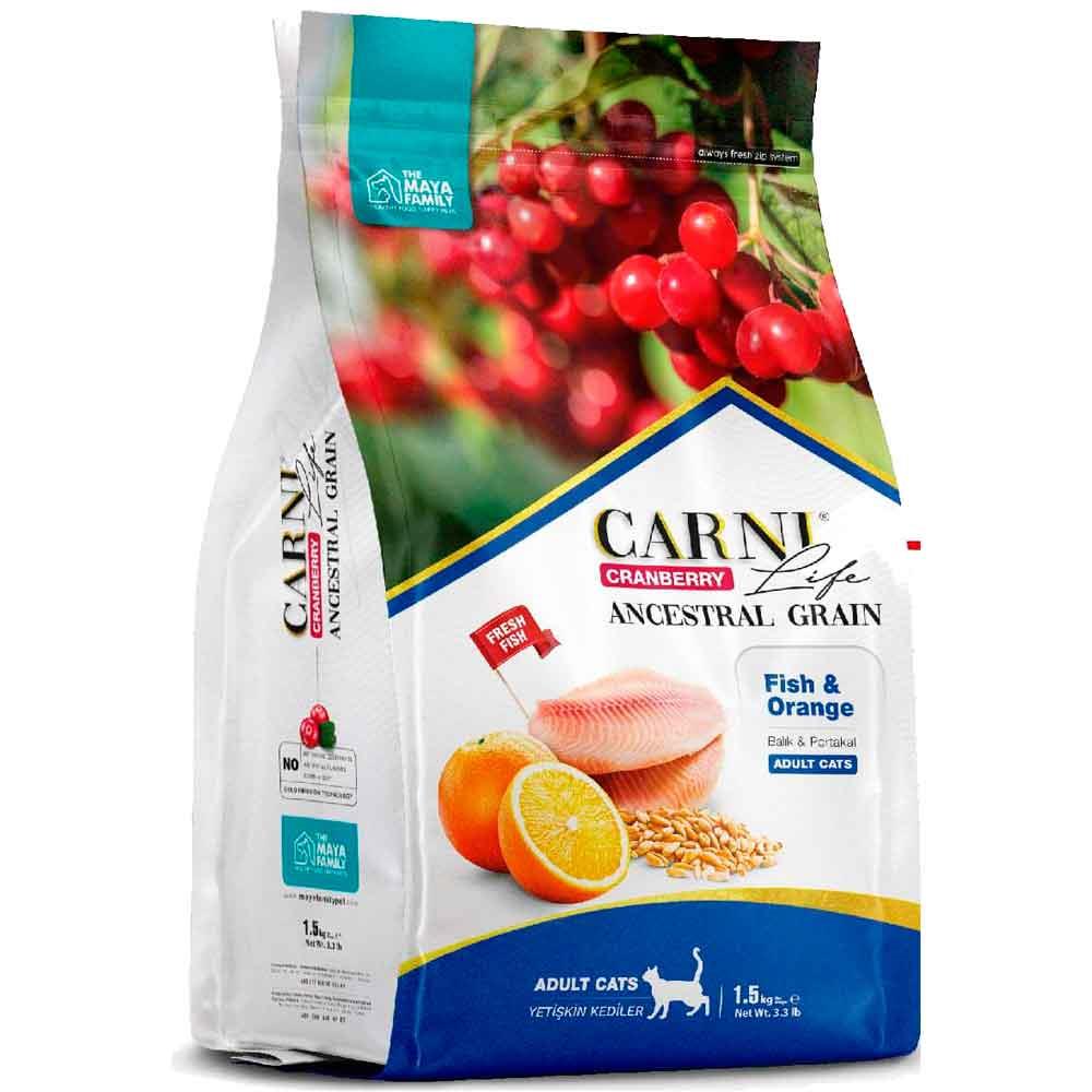 Carni Life Kedi Maması 10 Kg Balık Portakal Kızılcık 8683347070602 Amazon Pet Center