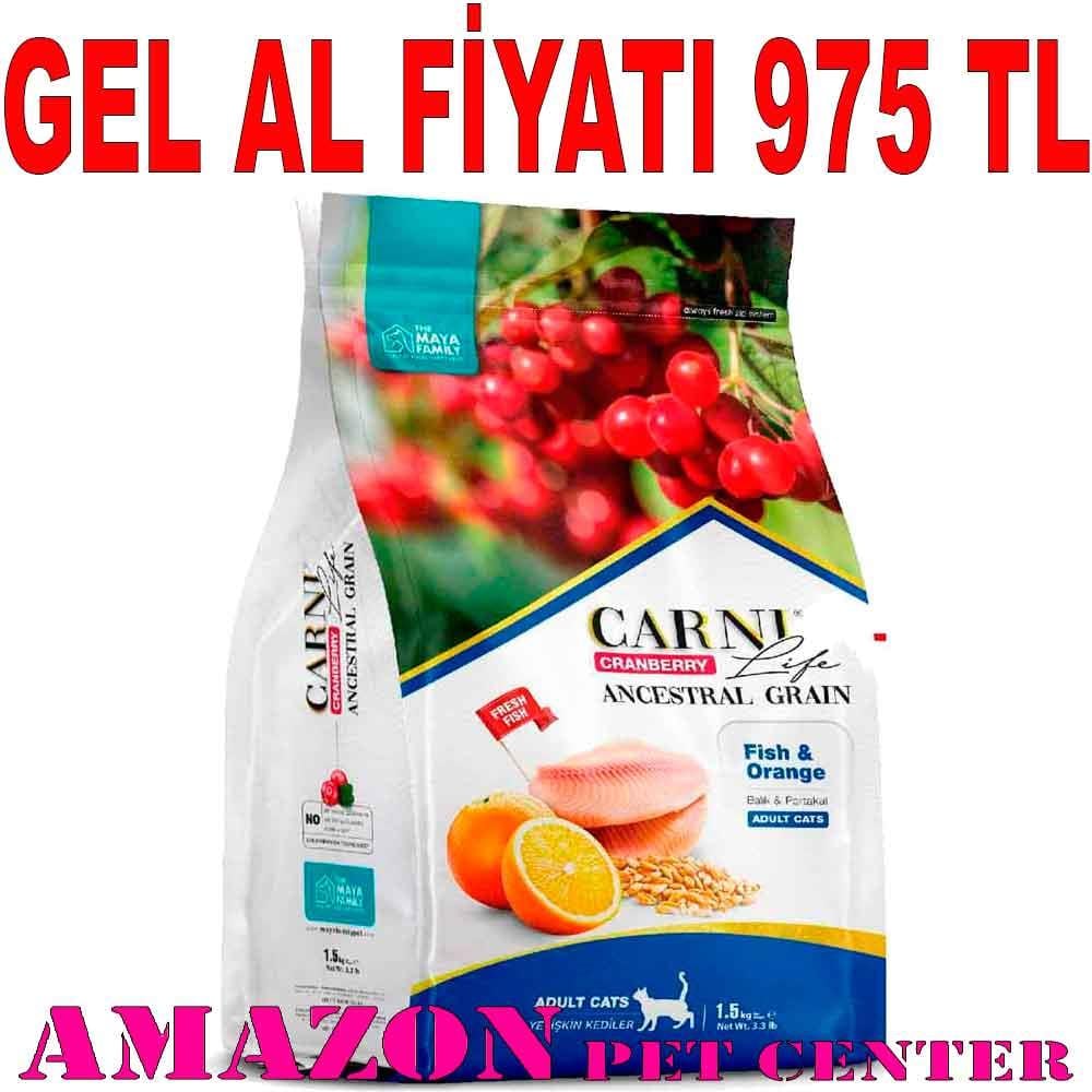 Carni Life Kedi Maması 10 Kg Kızılcık Balık Portakal 8683347070602 Amazon Pet Center