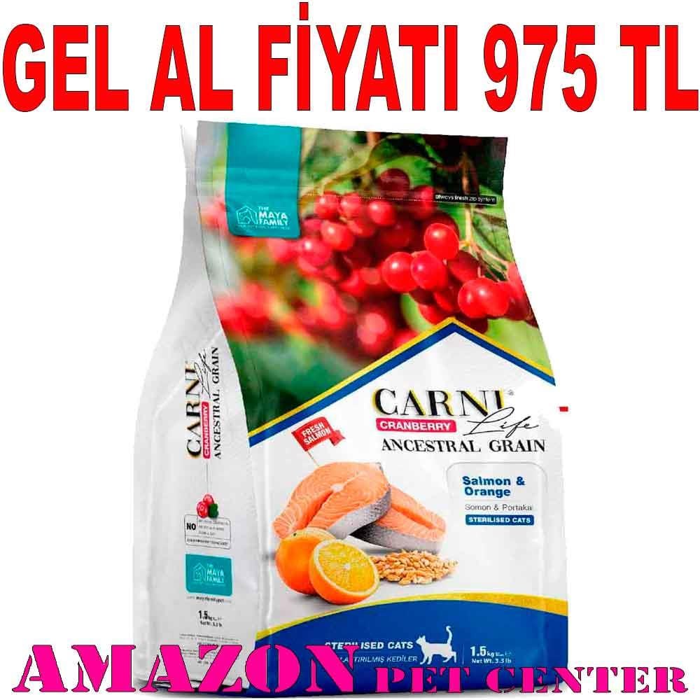 Carni Life Kısır Kedi Maması 10 Kg Kızılcık Somon Portakal 8683347070626 Amazon Pet Center