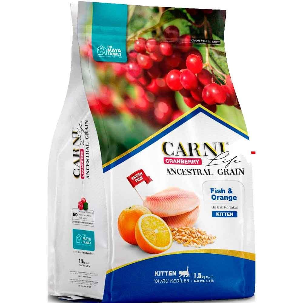 Carni Life Kitten 10 Kg Balık Portal Kızılcık 8683347070558 Amazon Pet Center