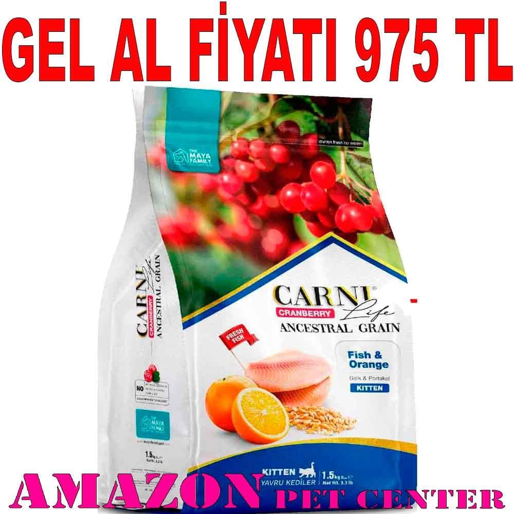 Carni Life Kitten 10 Kg Kızılcık Balık Portal 8683347070558 Amazon Pet Center