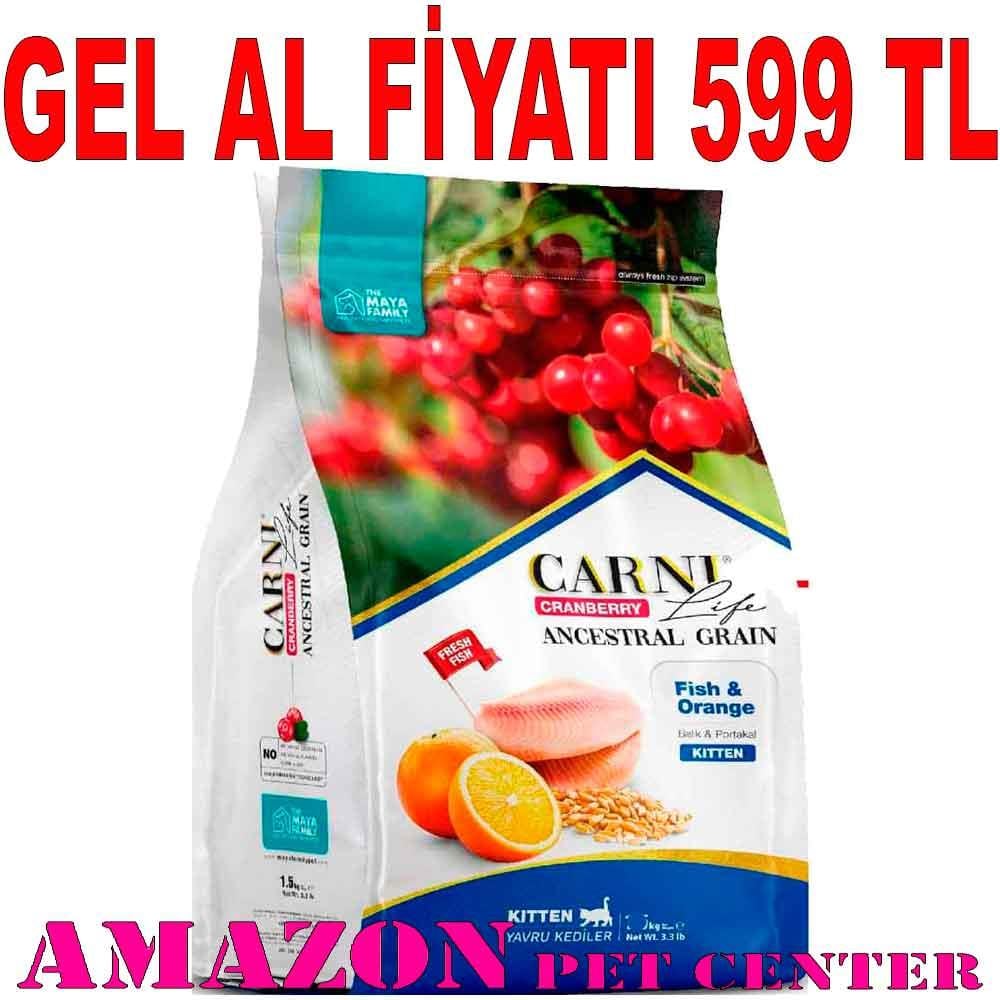Carni Life Kitten 5 Kg Kızılcık Balık Portakal 8683347070473 Amazon Pet Center