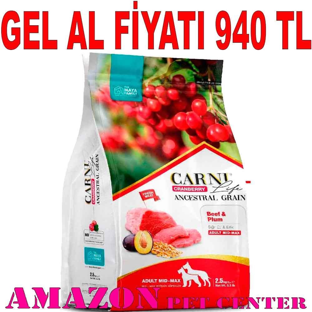 Carni Life Köpek Maması 12 Kg Kızılcık Biftek Erik 8683347071005 Amazon Pet Center
