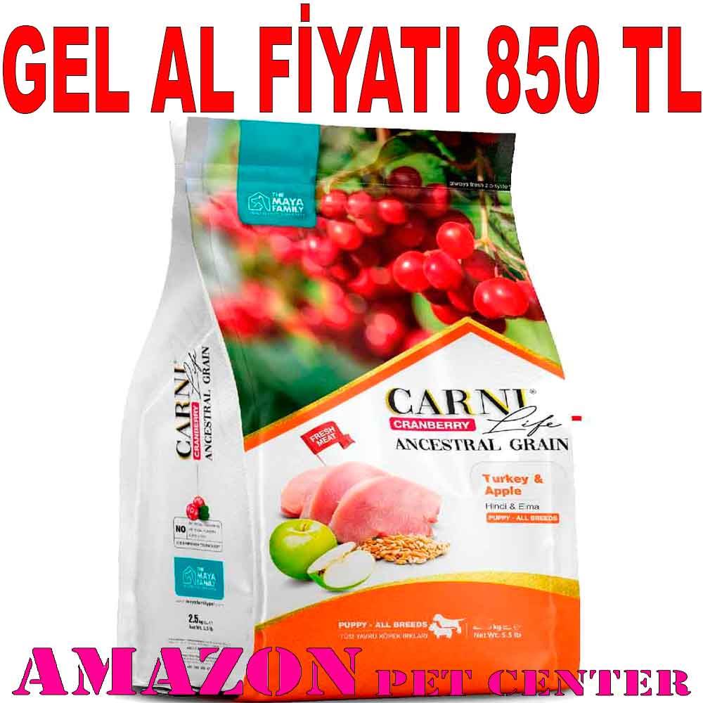Carni Life Köpek Maması Puppy 12 Kg Kızılcık Hindi Elma 8683347070961 Amazon Pet Center