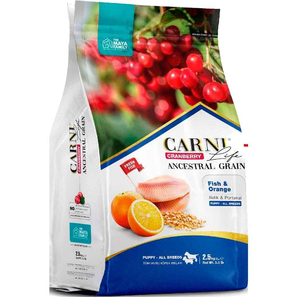 Carni Life Köpek Maması Puppy 2.5 Kg Balık Portakal Kızılcık 8683347070770 Amazon Pet Center