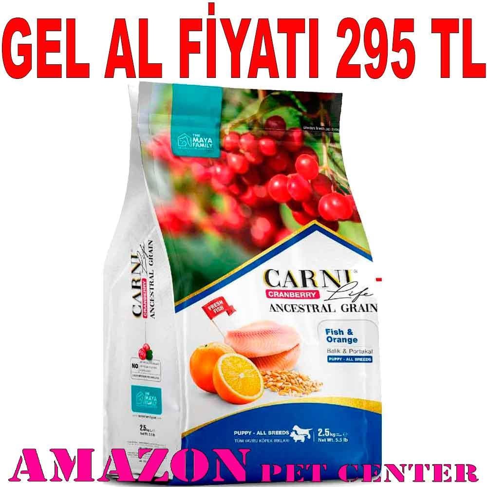 Carni Life Köpek Maması Puppy 2.5 Kg Kızılcık Balık Portakal 8683347070770 Amazon Pet Center